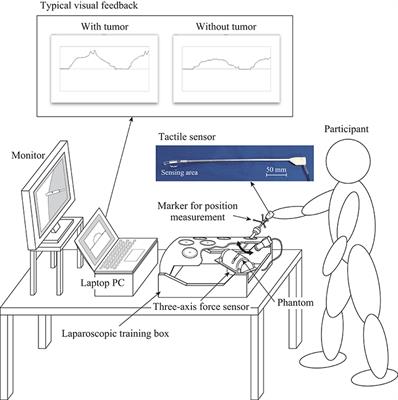 DNN-Based Assistant in Laparoscopic Computer-Aided Palpation